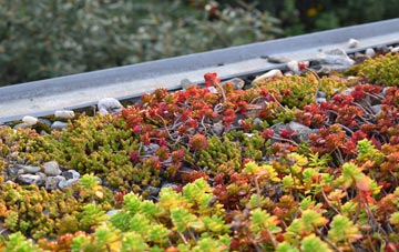 the cost of Mendlesham green roof installation