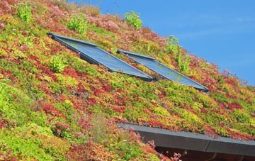 Mendlesham living roof systems